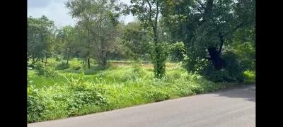 Image of 49005 Sq.ft Residential Plot / Land for sale in Murbad, Thane for Rs. 13500000