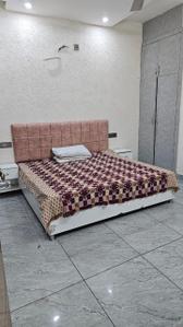 Bedroom Image of 1150 Sq.ft 1 BHK Builder Floor for rent in Aman Vihar Dehradun for Rs. 24000