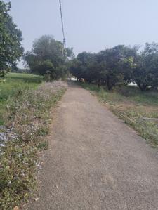 Image of 950 Sq.ft Residential Plot / Land for sale in Haldwani, Nainital for Rs. 2755000