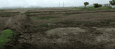 Image of 1089 Sq.ft Residential Plot / Land for sale in Panvel, Navi Mumbai for Rs. 990000