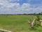 Mahindra World City Plot View 2