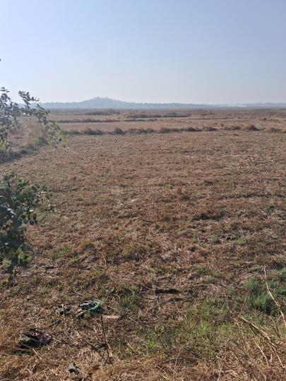 Sandor, Vasai West Main Image 1