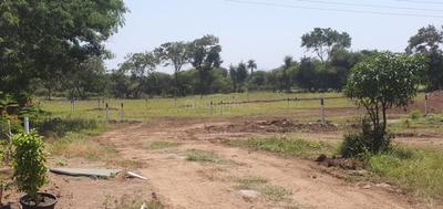 Image of 2000 Sq.ft Residential Plot / Land for sale in Treetopia Phase 3, Jadhavwadi, Saswad, Pune for Rs. 8900000