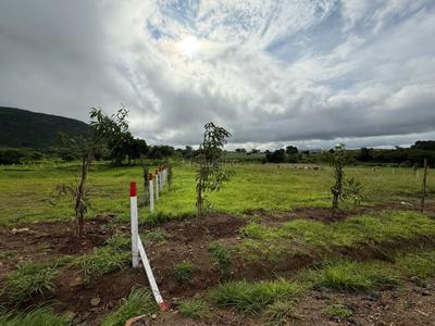Image of 1000 Sq.ft Residential Plot / Land for sale in Belgaon Dhaga, Nashik for Rs. 4800000