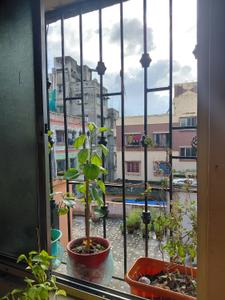 Image of 510 Sq.ft 1 BHK Apartment / Flat for sale in Tangra, Kolkata for Rs. 2100000