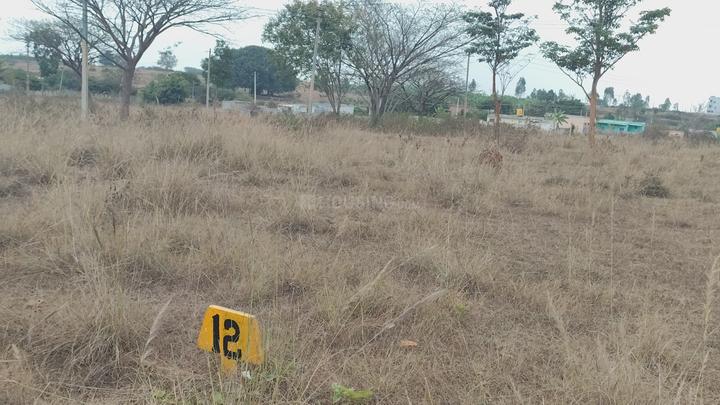 Averahalli Main Image 1