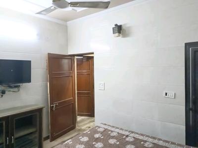 Bedroom Image of 750 Sq.ft 2 BHK Apartment / Flat for rent in Pitampura New Delhi for Rs. 31000
