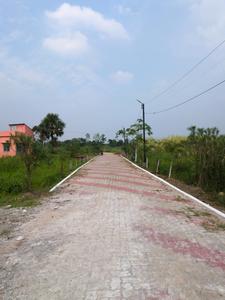 Nest Valley Internal Roads 1