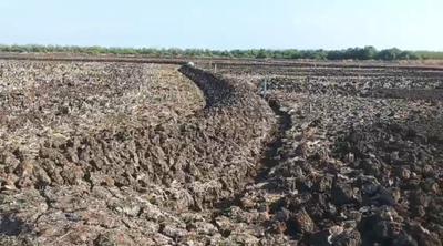 Nagaon Plot View 3