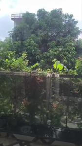 Image of 2000 Sq.ft 2.5 BHK Builder Floor for rent in Jankipuram Garden, Lucknow for Rs. 16000