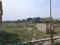 Baraula Plot View 2