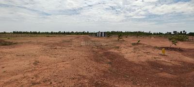 Image of 11104 Sq.ft Residential Plot / Land for sale in Sooriyur, Tiruchirappalli for Rs. 1765377