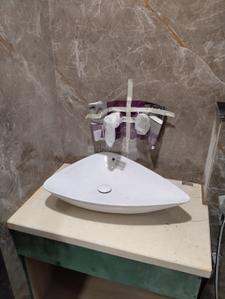 Bathroom Image of 4500 Sq.ft 5 BHK Builder Floor for sale in Sector 4 Gurgaon for Rs. 39800000