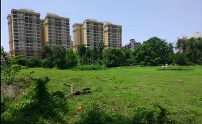Patia Plot View 1