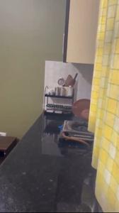 Kitchen Image of 1200 Sq.ft 1 RK Builder Floor for rent in Gomti Nagar Lucknow for Rs. 12000