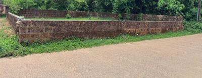 Padil Plot View 1