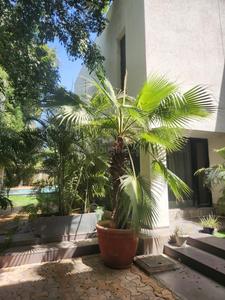4 BHK Independent Builder Floor