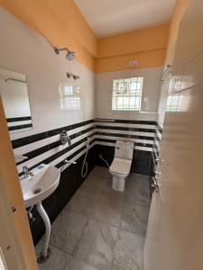 Kitchen Image of 800 Sq.ft 2 BHK Apartment / Flat for rent in Aduru Bengaluru for Rs. 20000