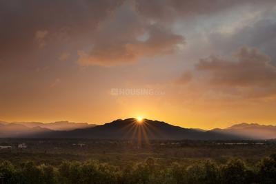 Image of 1098 Sq.ft Residential Plot / Land for sale in GLS Bird Estate, Badsa, Jhajjar for Rs. 6700000