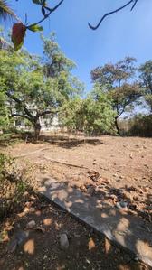 Pandurang Colony Plot View 2
