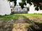 Block C, Sushant Lok Phase 1 Plot View 2