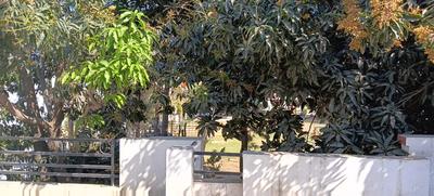 Image of 2250 Sq.ft 2 BHK Builder Floor for rent in Green Park Colony, Bareilly for Rs. 12000
