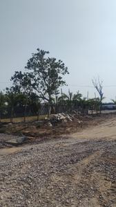 Image of 968 Sq.ft Residential Plot / Land for sale in Bhilai Marshalling Yard, Charoda for Rs. 1590000