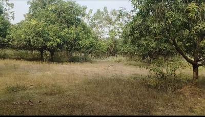 Image of 300 Sq.ft Residential Plot / Land for sale in Chelluru, Vizianagaram for Rs. 4800000
