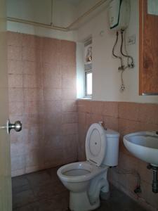 Common Bathroom Image of 820 Sq.ft 2 BHK Apartment / Flat for rent in Jaypee Aman, Sector 151 Noida for Rs. 25000