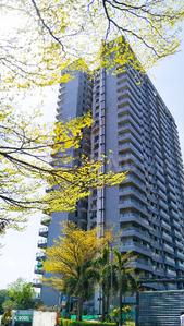 Image of 1300 Sq.ft 2 BHK Apartment / Flat for sale in Paras Dews, Sector 106, Gurgaon for Rs. 16600000