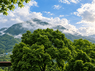 Image of 1650 Sq.ft Residential Plot / Land for sale in Mussoorie Road, Dehradun for Rs. 264000000