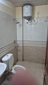 Bathroom Image of 1050 Sq.ft 2 BHK Apartment / Flat for rent in Sector 110 Mohali for Rs. 18000