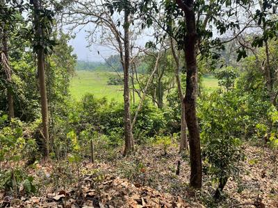 Image of 525 Sq.ft Residential Plot / Land for sale in Tivim, Goa for Rs. 16800000