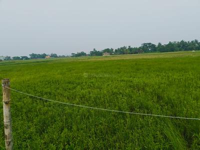 Image of 720 Sq.ft Residential Plot / Land for sale in Sonarpur, Kolkata for Rs. 199999