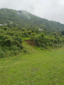 Image of 2160 Sq.ft Residential Plot / Land for sale in Naukuchitatal, Nainital for Rs. 3000000