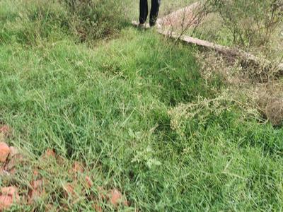 Image of 990 Sq.ft Residential Plot / Land for sale in Sector 12, Chandigarh for Rs. 4500000