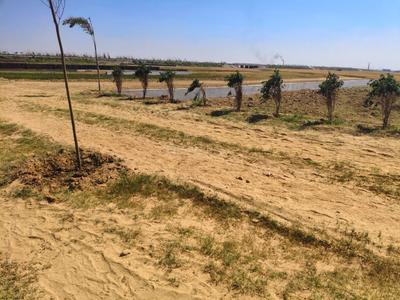 Image of 1000 Sq.ft Residential Plot / Land for sale in Maniram, Gorakhpur for Rs. 599000