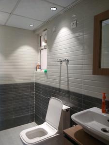 Common Bathroom Image of 700 Sq.ft 3 BHK Apartment / Flat for rent in Sector 108 Gurgaon for Rs. 16000