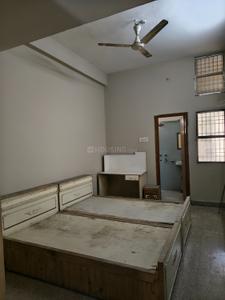 Bedroom Image of 1800 Sq.ft 2 BHK Apartment / Flat for rent in Vinoba Nagar Bilaspur for Rs. 20000