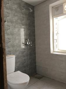 Common Bathroom Image of 920 Sq.ft 2.5 BHK Apartment / Flat for sale in Amrapali Dream Valley 2, Noida Extension Greater Noida for Rs. 6800000