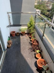 Balcony Image of 925 Sq.ft 2 BHK Apartment / Flat for rent in Anand Shanti Elixir, Keshav Nagar Pune for Rs. 34500