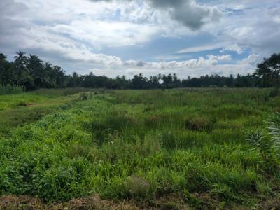 Nest Valley Plot View 2