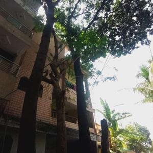 Image of 3000 Sq.ft 2 BHK Independent House for sale in Panchsheel Nagar, Bhopal for Rs. 8500000