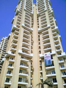 Image of 1100 Sq.ft 2.5 BHK Apartment / Flat for rent in JM Florence, Noida Extension, Greater Noida for Rs. 24000