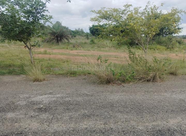 Dodda Aalada Mara Main Image 1