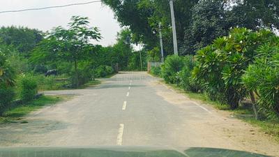 Image of 1250 Sq.ft Residential Plot / Land for sale in Nagram, Lucknow for Rs. 2500000