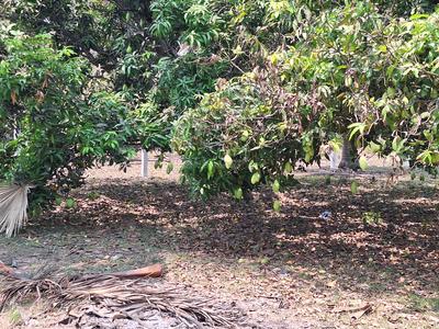 Image of 8505 Sq.ft Residential Plot / Land for sale in Melmaruvathur, Chennai for Rs. 2976750