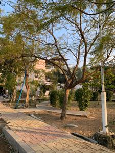 Image of 1000 Sq.ft Residential Plot / Land for sale in Omaxe Pratham Phase III, Mayakhedi, Indore for Rs. 6500000