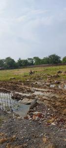 Image of 1200 Sq.ft Residential Plot / Land for sale in Birkona, Bilaspur for Rs. 4000000