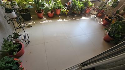 Living Room Image of 1185 Sq.ft 2 BHK Apartment / Flat for rent in Kothrud Pune for Rs. 50000
